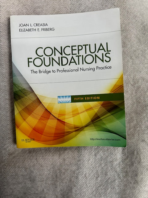 Conceptual Foundation: The Bridge to Professional Nursing Practice